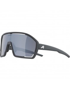 Alpina Unisex Sonnenbrille... 2