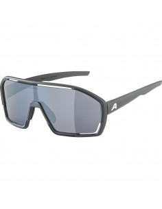Alpina Unisex Sonnenbrille...