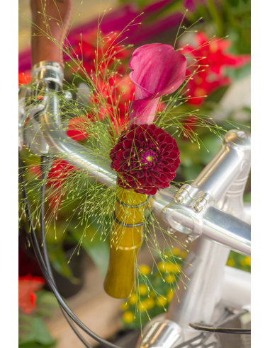 Vase pour guidon Liix